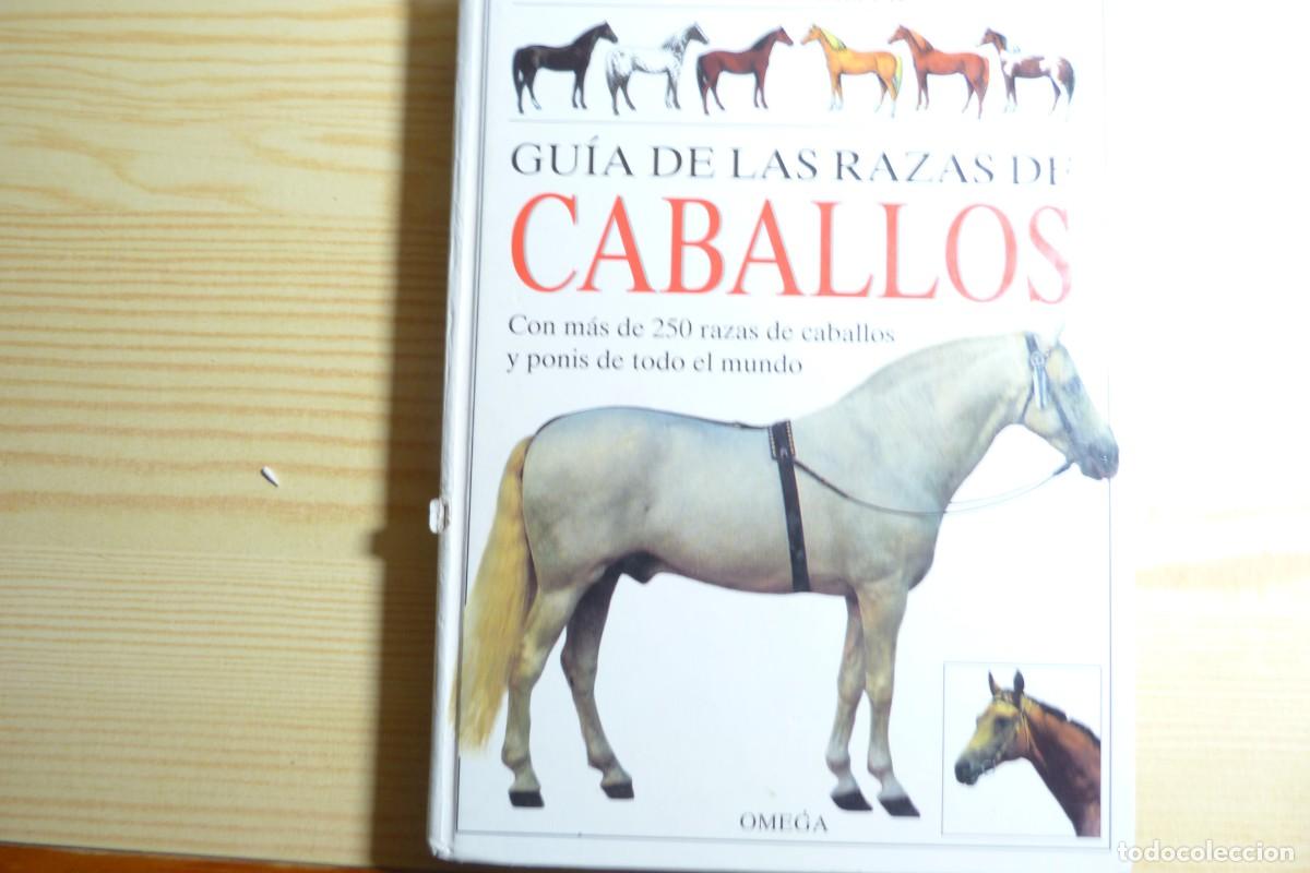 Libros de segunda mano: Gu&iacute;a de las razas de caballos, de Martin Haller - Foto 1