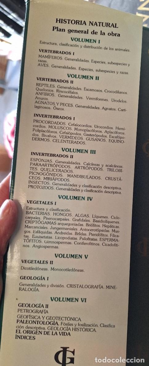 Libros de segunda mano: HISTORIA NATURAL. 6 TOMOS. - - Foto 3