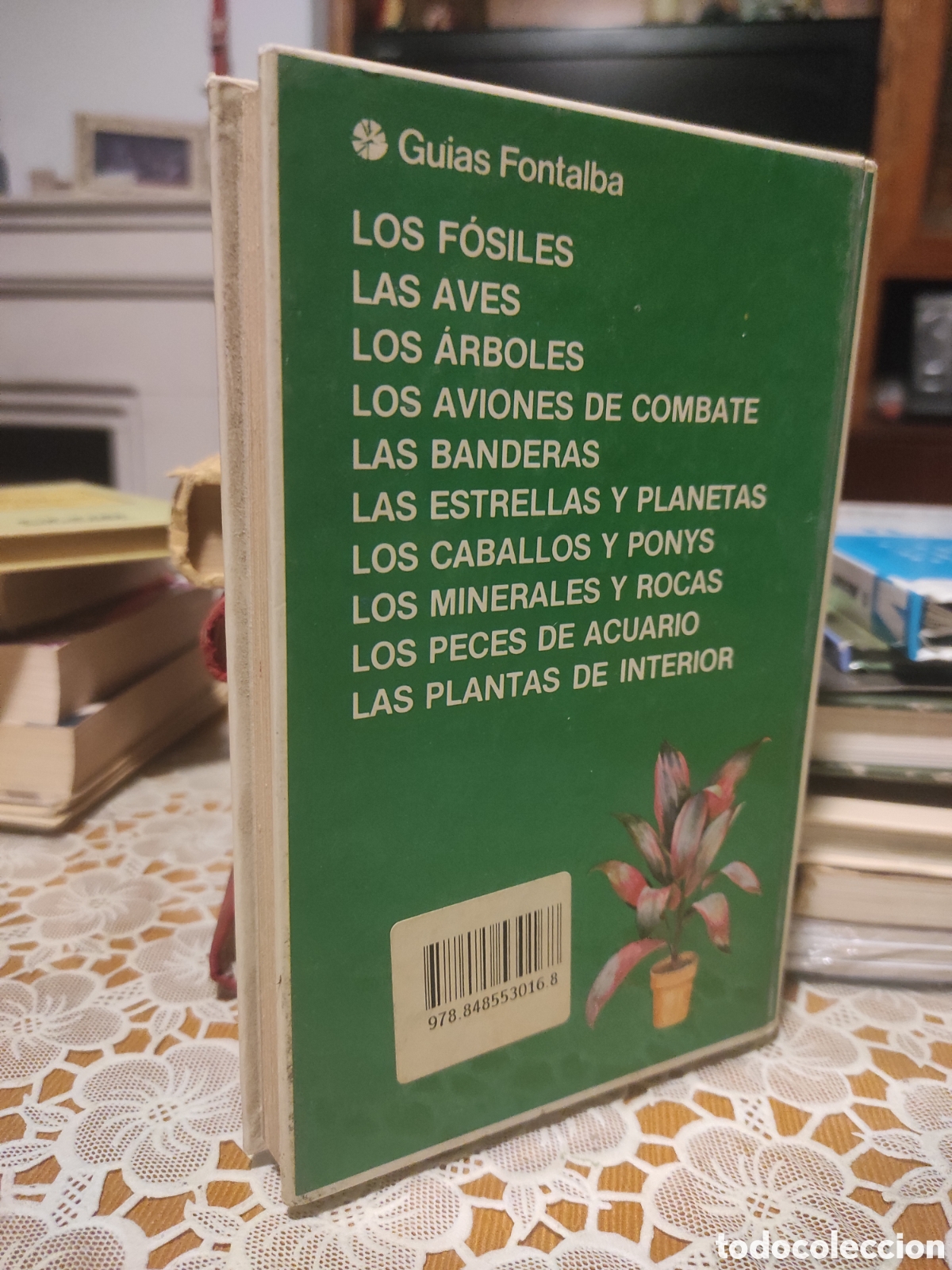Libros de segunda mano: LAS PLANTAS DE INTERIOR VIOLET STEVENSON (PEDIDO M&Iacute;NIMO 5 &euro;) - Foto 2