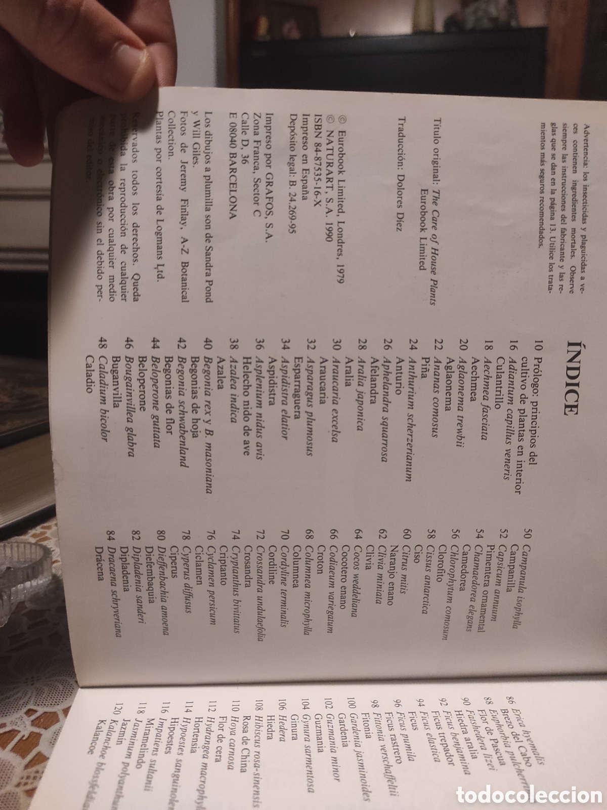 Libros de segunda mano: El cuidado de las plantas de interior. Blume 1979 - Foto 3