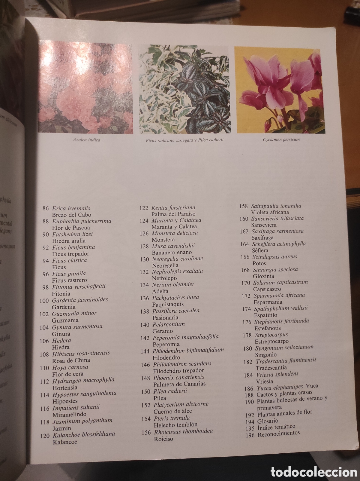 Libros de segunda mano: El cuidado de las plantas de interior. Blume 1979 - Foto 4