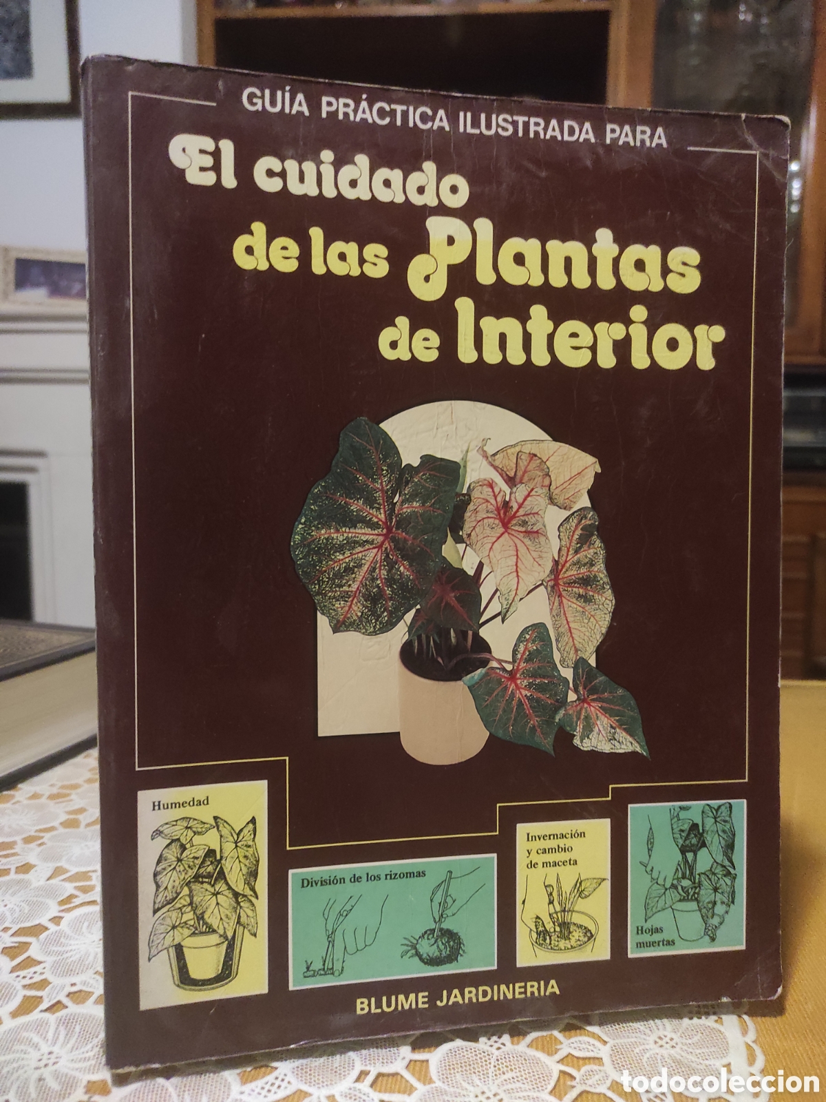 Libros de segunda mano: El cuidado de las plantas de interior. Blume 1979 - Foto 1