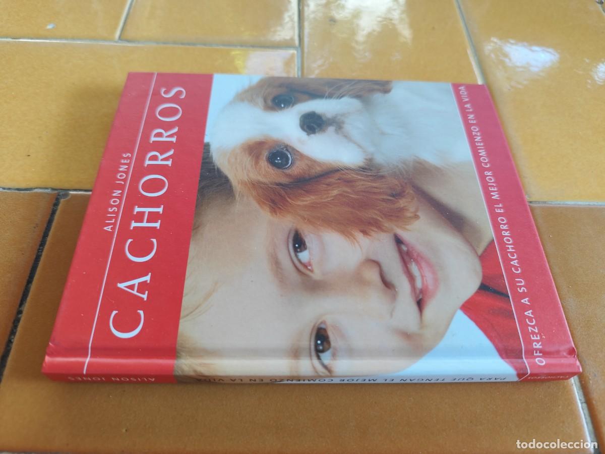 Libros de segunda mano: CACHORROS / ALISON JONES / CJA 386 / HILLS - Foto 1