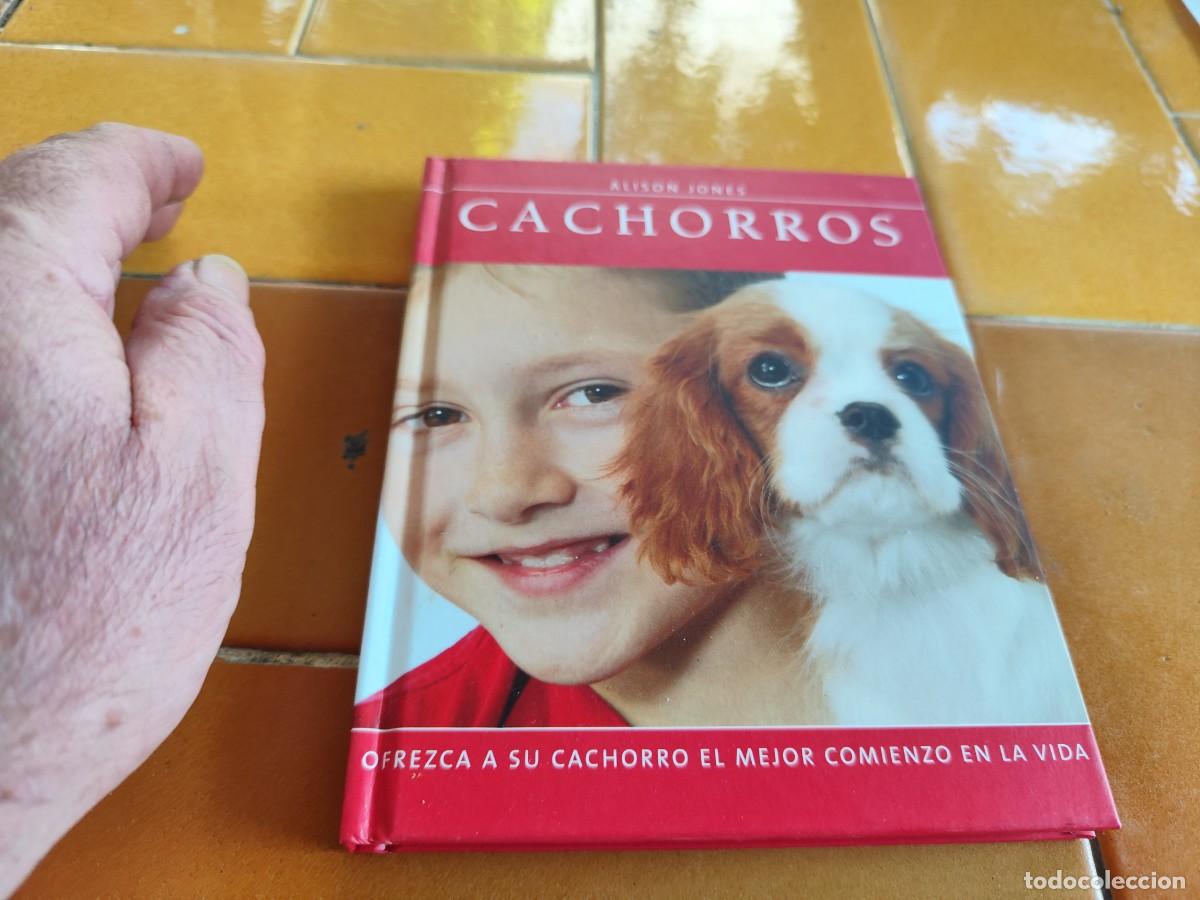 Libros de segunda mano: CACHORROS / ALISON JONES / CJA 386 / HILLS - Foto 2