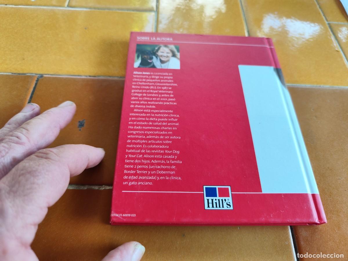Libros de segunda mano: CACHORROS / ALISON JONES / CJA 386 / HILLS - Foto 3