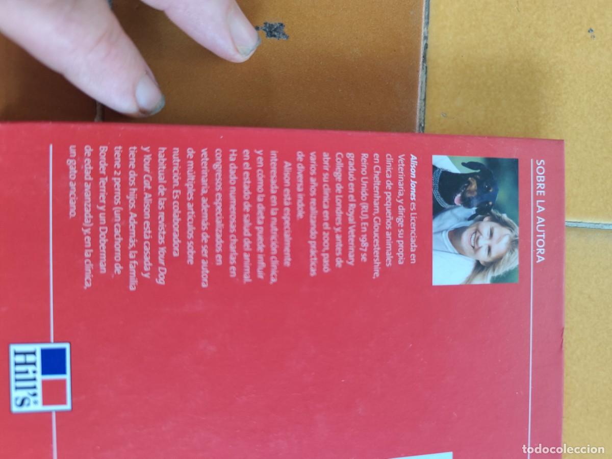 Libros de segunda mano: CACHORROS / ALISON JONES / CJA 386 / HILLS - Foto 4