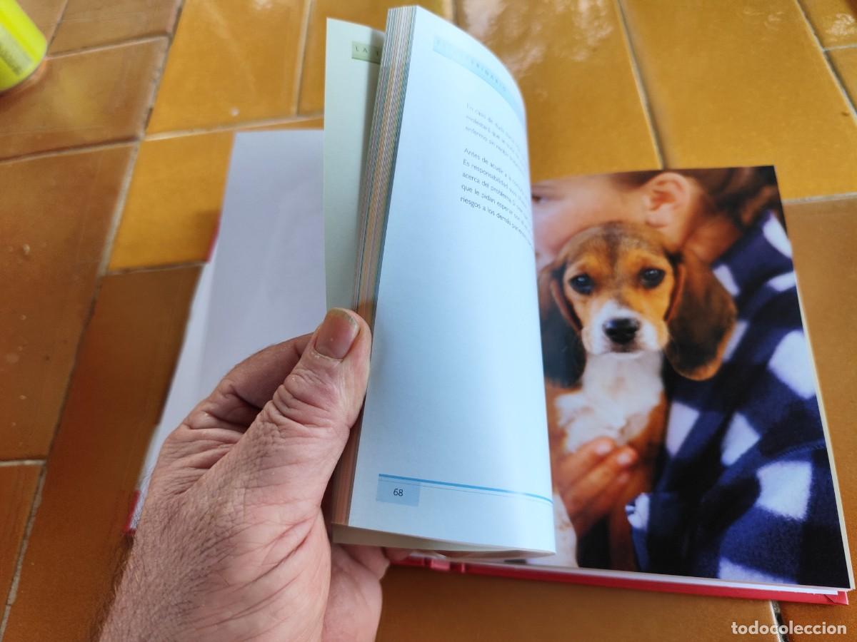 Libros de segunda mano: CACHORROS / ALISON JONES / CJA 386 / HILLS - Foto 11