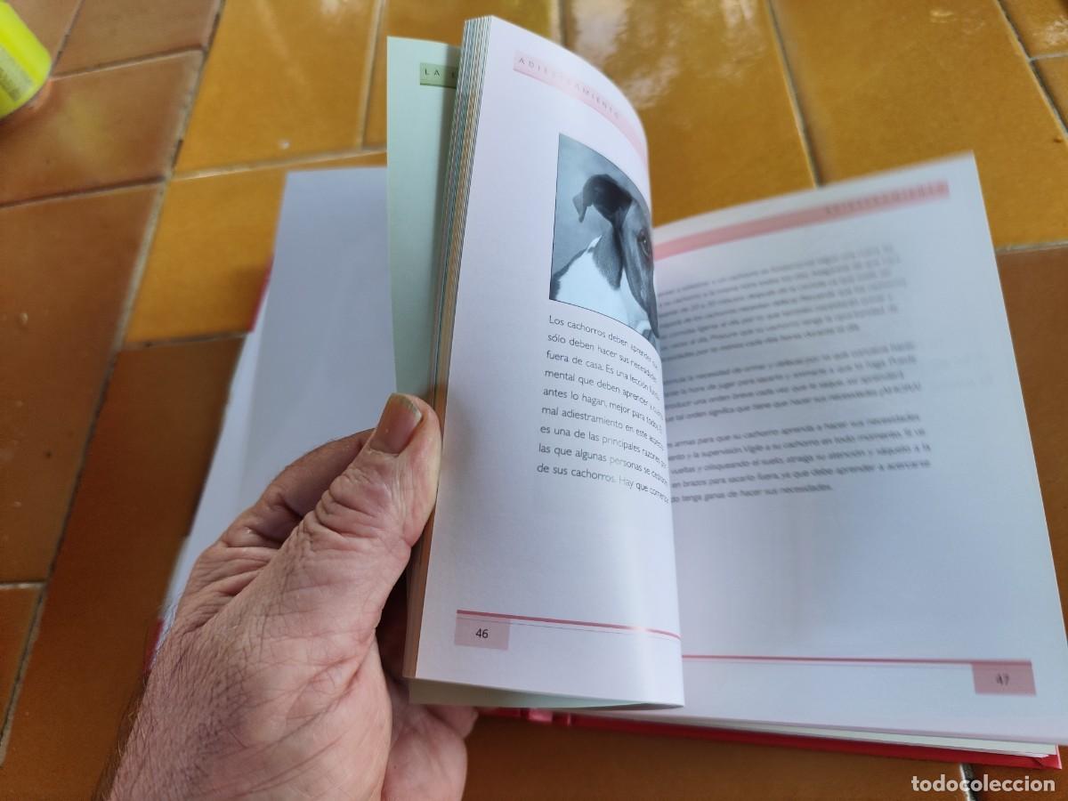 Libros de segunda mano: CACHORROS / ALISON JONES / CJA 386 / HILLS - Foto 13