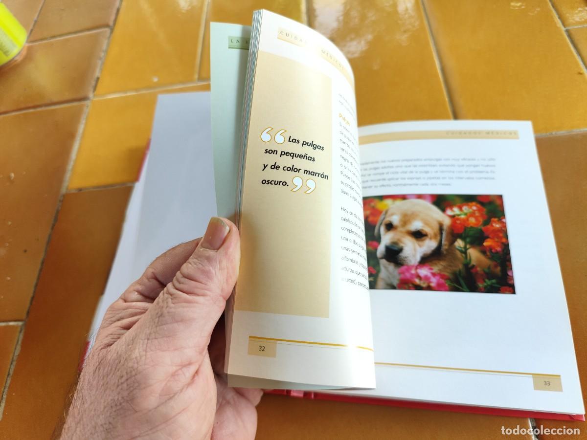 Libros de segunda mano: CACHORROS / ALISON JONES / CJA 386 / HILLS - Foto 14
