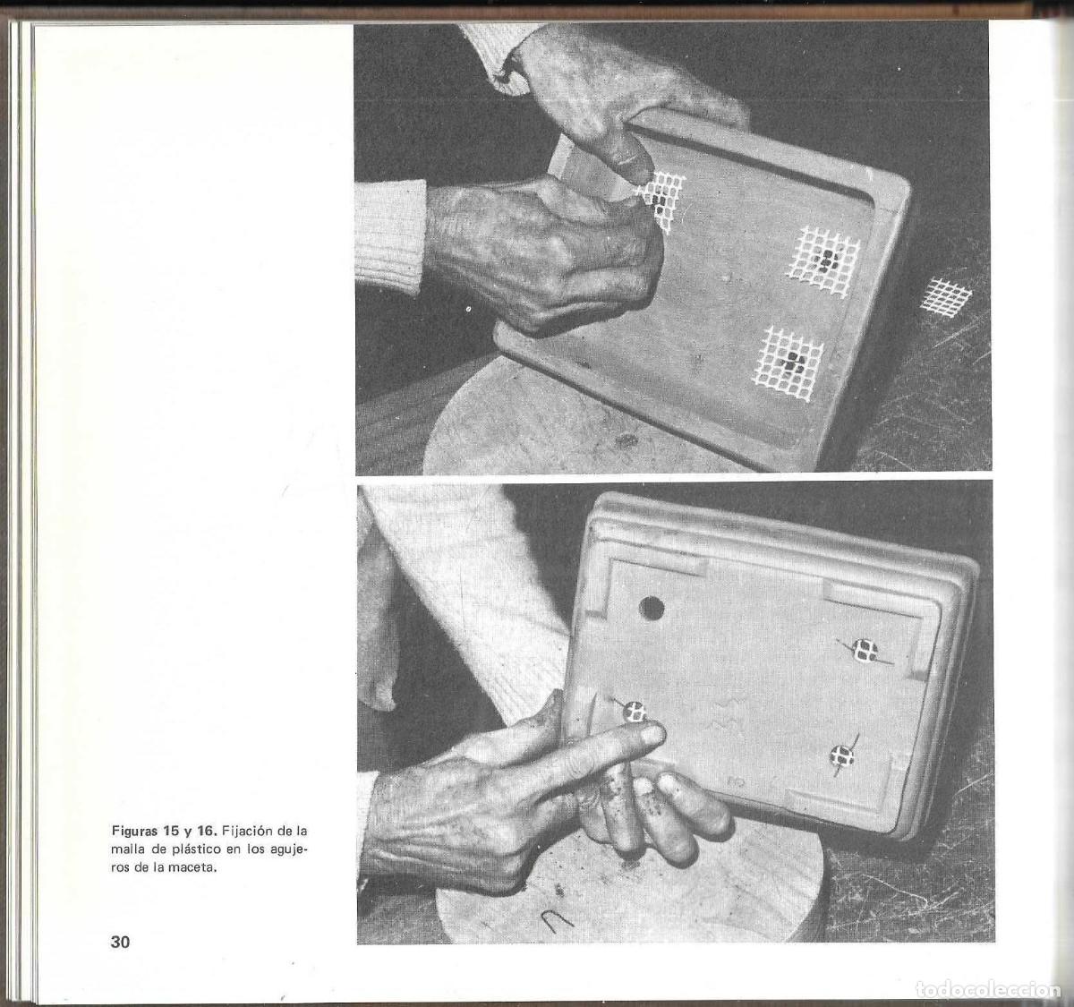 Libros de segunda mano: BONSAI - ARTE JAPON&Eacute;S - FAUST VERG&Egrave;S - EDICIONES MARZO 80 - 1985 - Foto 5