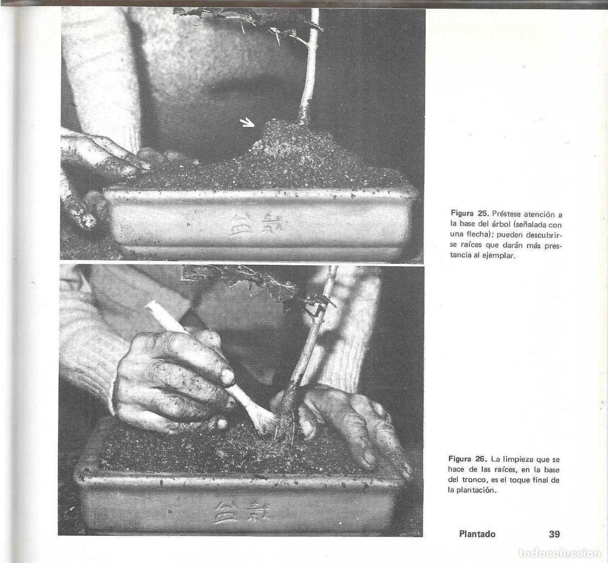 Libros de segunda mano: BONSAI - ARTE JAPON&Eacute;S - FAUST VERG&Egrave;S - EDICIONES MARZO 80 - 1985 - Foto 7