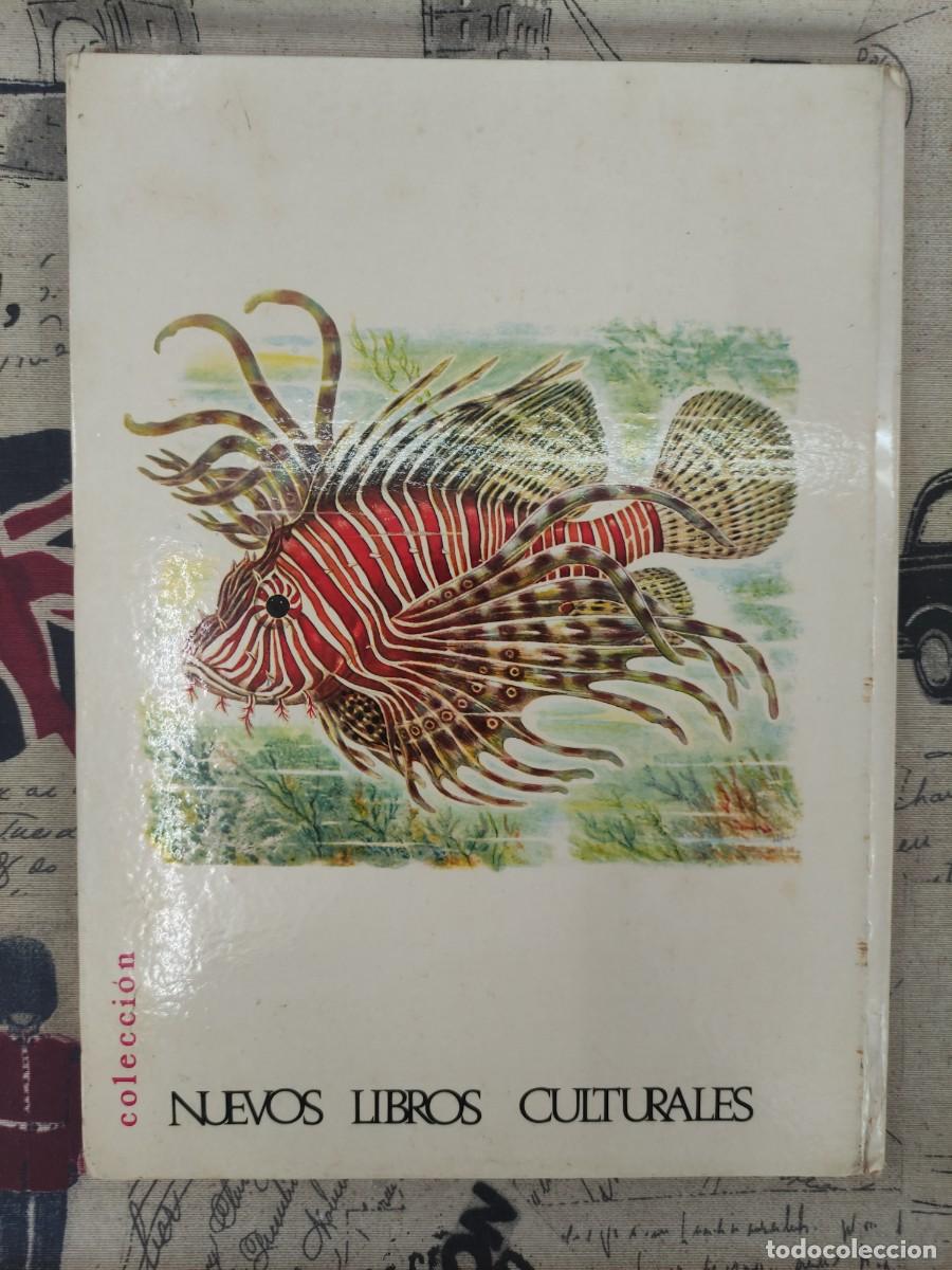 Libros de segunda mano: CONOCE LOS PECES, ANFIBIOS E INSECTOS - Foto 2