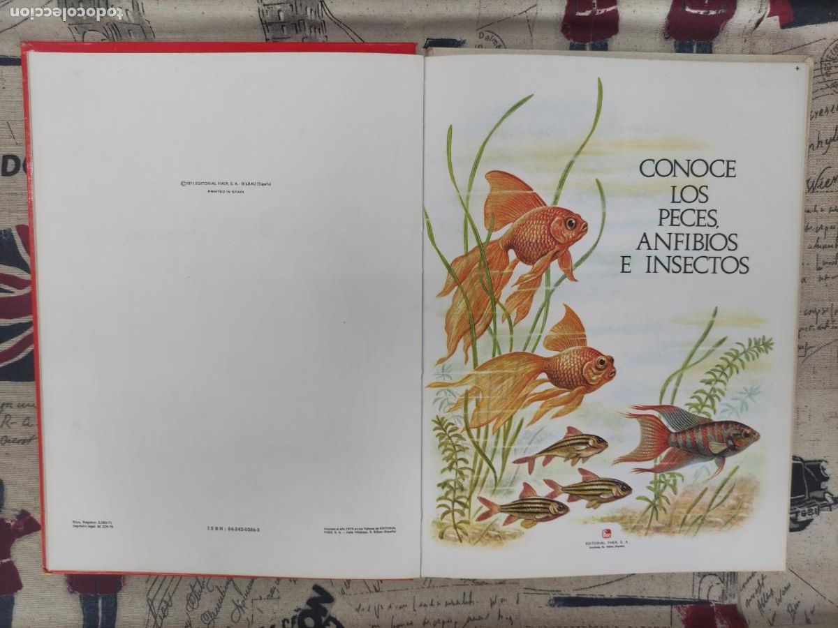 Libros de segunda mano: CONOCE LOS PECES, ANFIBIOS E INSECTOS - Foto 3