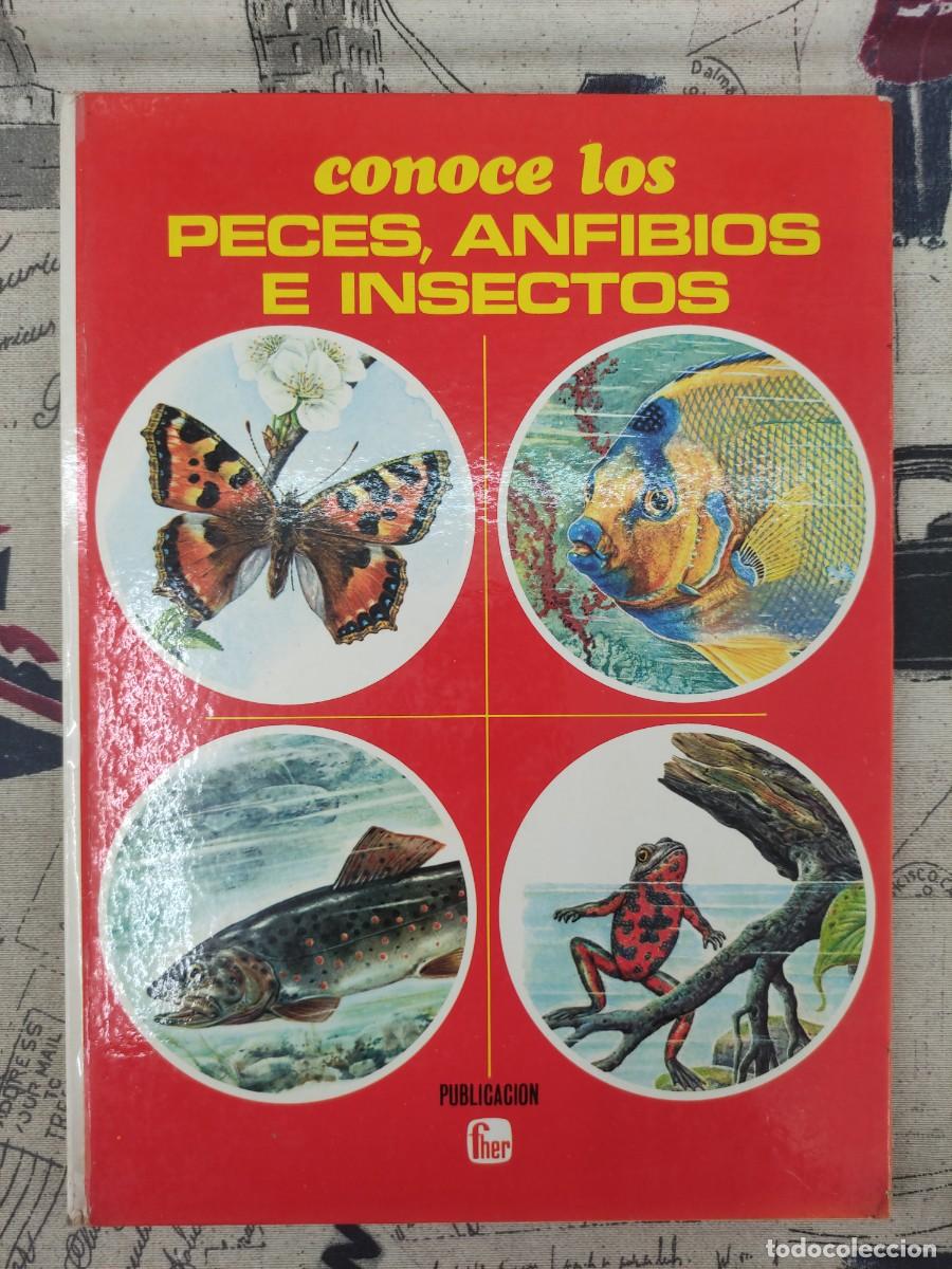 Libros de segunda mano: CONOCE LOS PECES, ANFIBIOS E INSECTOS - Foto 1