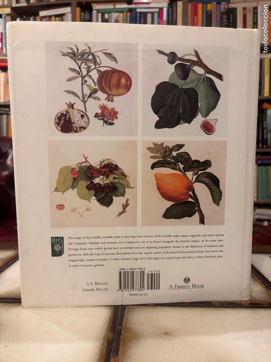 Libros de segunda mano: Fruit. An Illustrated History. Peter Blackburne-Maze. EN INGL&Eacute;S - Foto 2