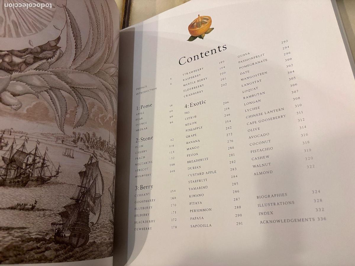 Libros de segunda mano: Fruit. An Illustrated History. Peter Blackburne-Maze. EN INGL&Eacute;S - Foto 3