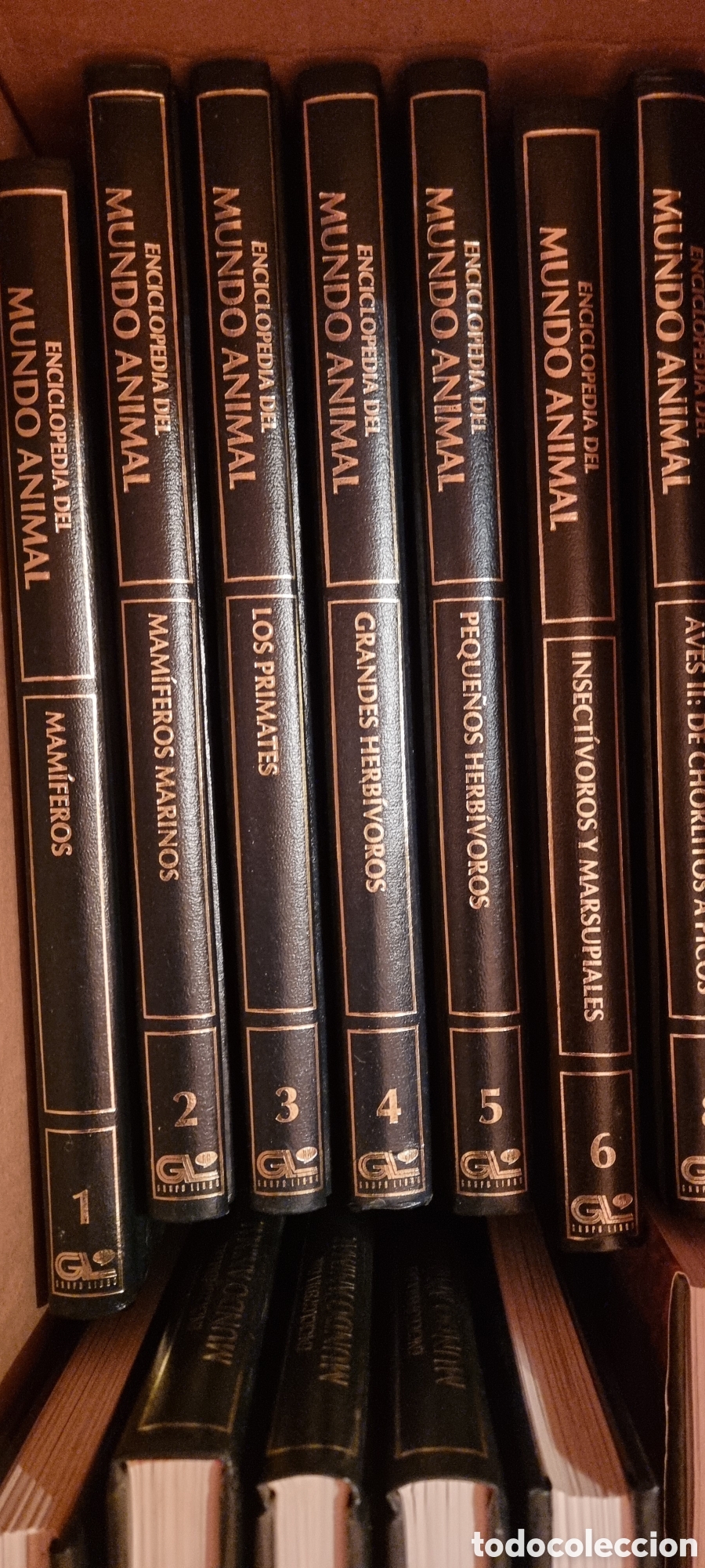 Libros de segunda mano: Enciclopedia mundo animal - Foto 2