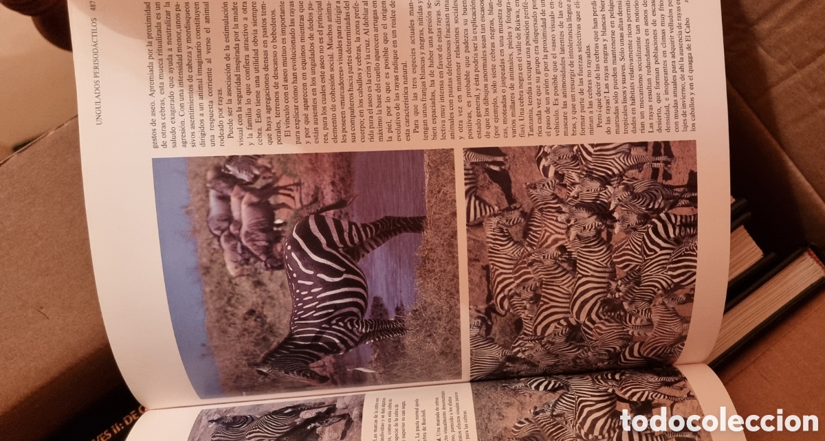Libros de segunda mano: Enciclopedia mundo animal - Foto 4
