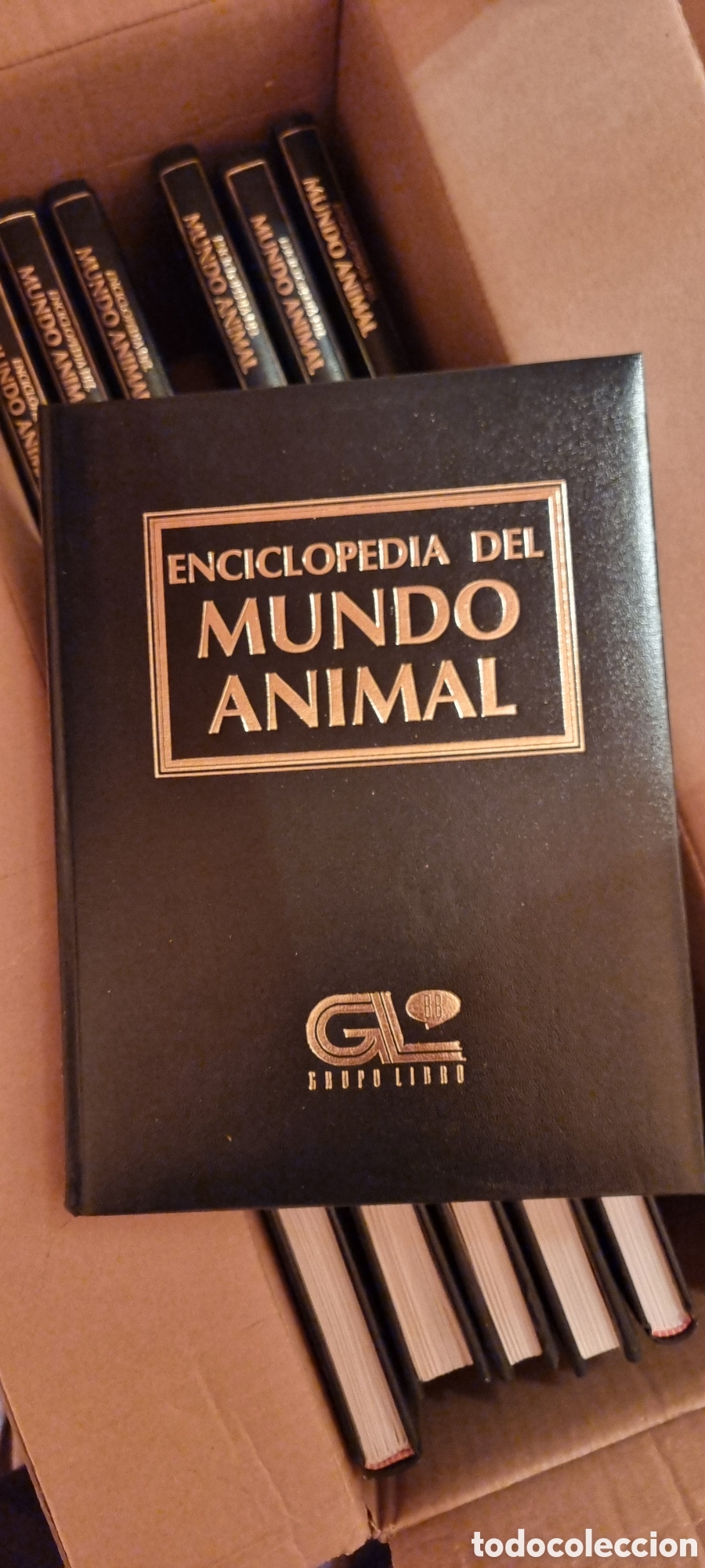 Libros de segunda mano: Enciclopedia mundo animal - Foto 1