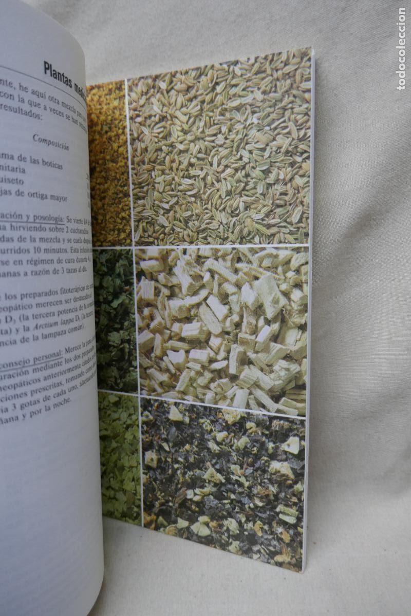 Libros de segunda mano: Recetario pr&aacute;ctico de plantas medicinales - PAHLOW, MANNFRIED - Foto 13