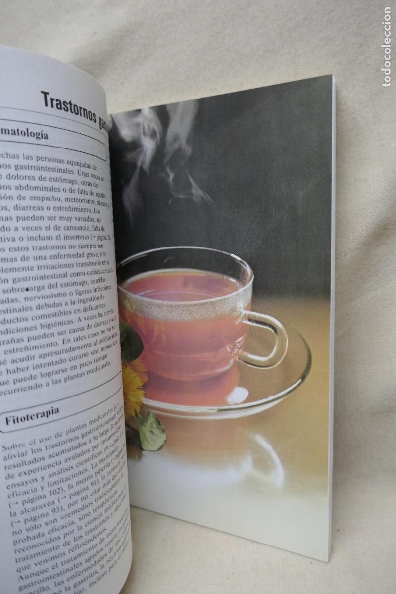 Libros de segunda mano: Recetario pr&aacute;ctico de plantas medicinales - PAHLOW, MANNFRIED - Foto 15