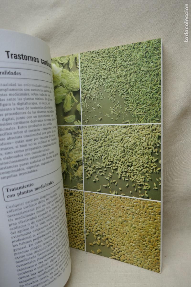 Libros de segunda mano: Recetario pr&aacute;ctico de plantas medicinales - PAHLOW, MANNFRIED - Foto 16