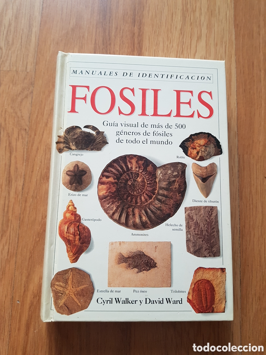 Second hand books: Manual de identificaci&oacute;n de fosiles