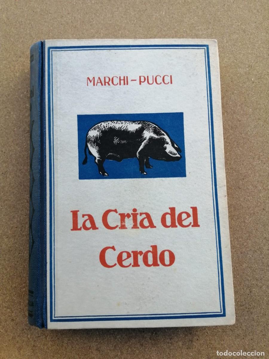 Libros de segunda mano: LA CRIA DEL CERDO (MARCHI - PUCCI) - Foto 1