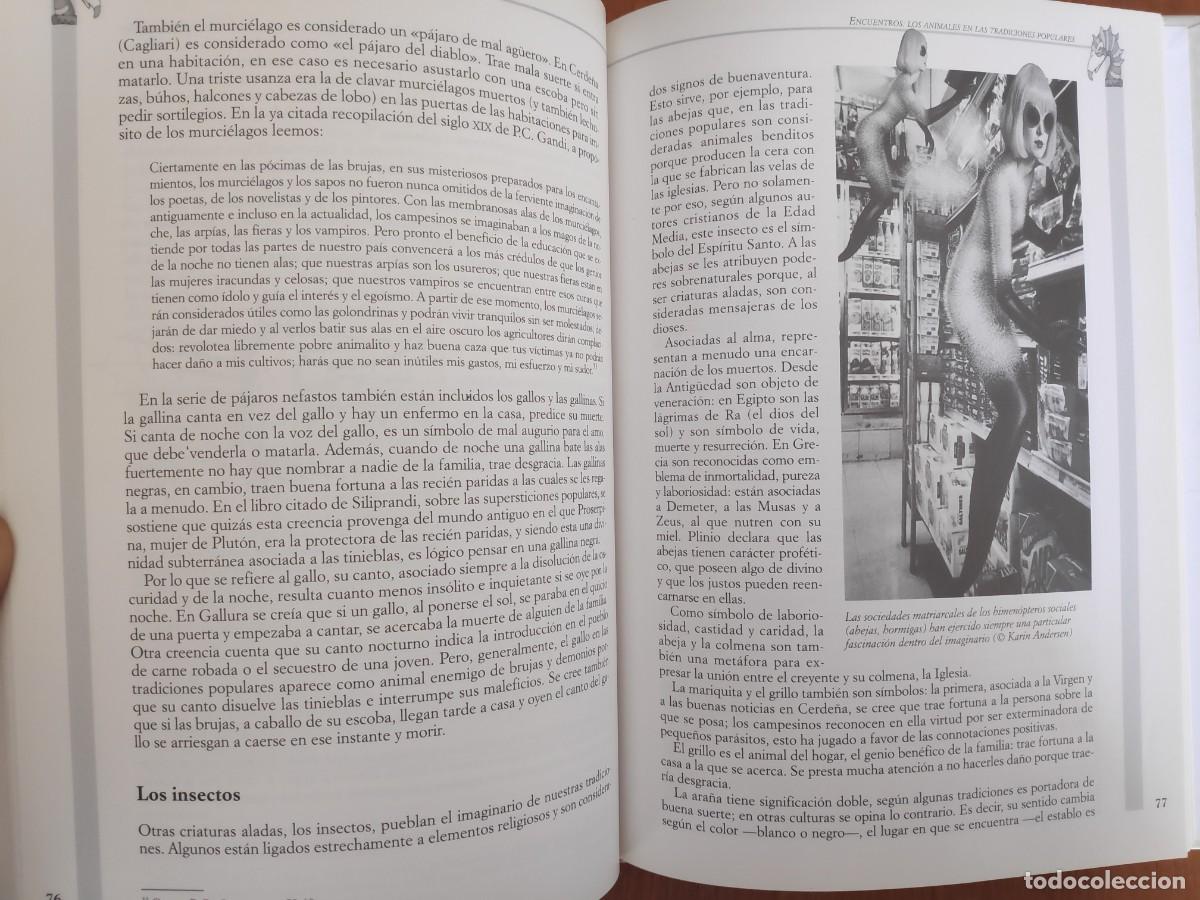 Libros de segunda mano: Animales m&aacute;gicos Roberto Marchesini Sabrina Tonutti Ed Vecchi - Foto 5
