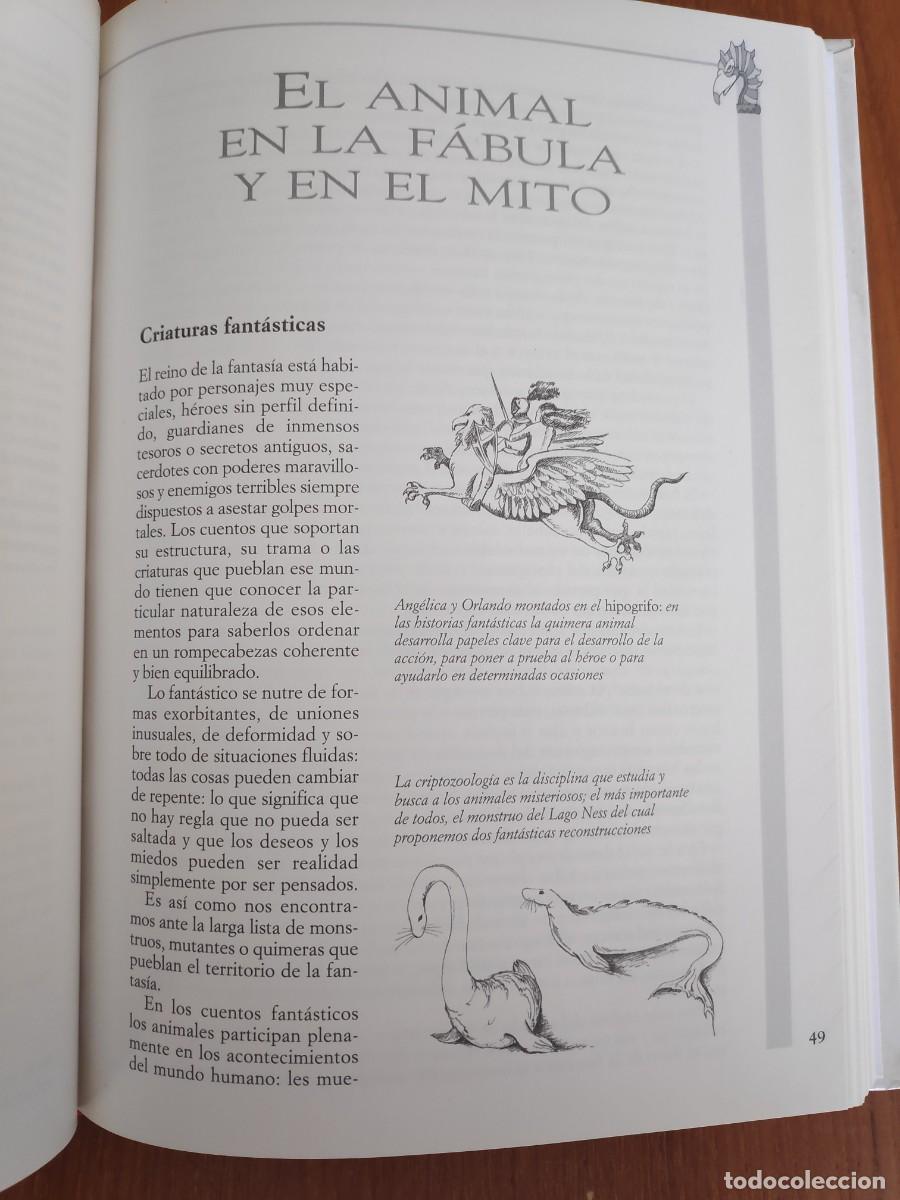 Libros de segunda mano: Animales m&aacute;gicos Roberto Marchesini Sabrina Tonutti Ed Vecchi - Foto 7