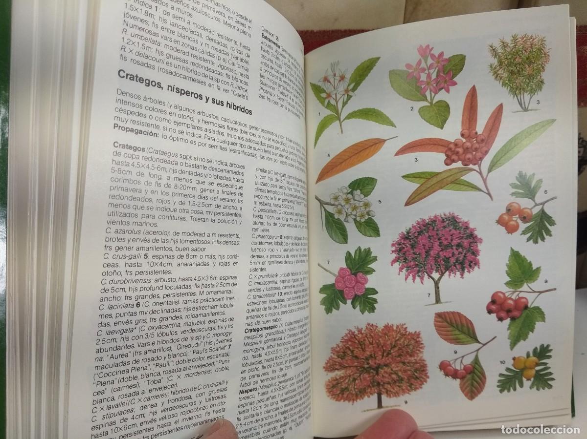Libros de segunda mano: MANUAL DE PLANTAS DE JARD&Iacute;N. MICHAEL WRIGHT. Ediciones del Serbal. 1985. - Foto 3