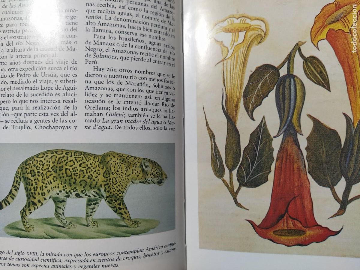 Libros de segunda mano: EL AMAZONAS: EL INFIERNO VERDE, J. M. RUBIO RECIO - Foto 3