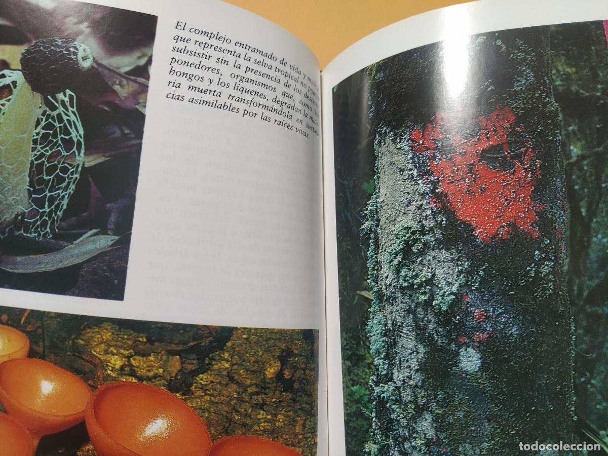 Libros de segunda mano: EL AMAZONAS: EL INFIERNO VERDE, J. M. RUBIO RECIO - Foto 4