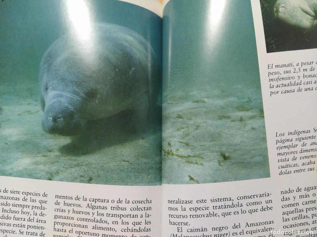 Libros de segunda mano: EL AMAZONAS: EL INFIERNO VERDE, J. M. RUBIO RECIO - Foto 5
