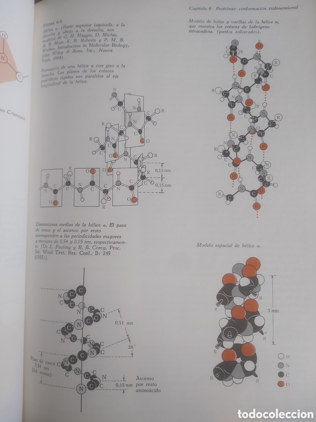 Libros de segunda mano: BIOQUIMICA. Lehninger - Foto 6