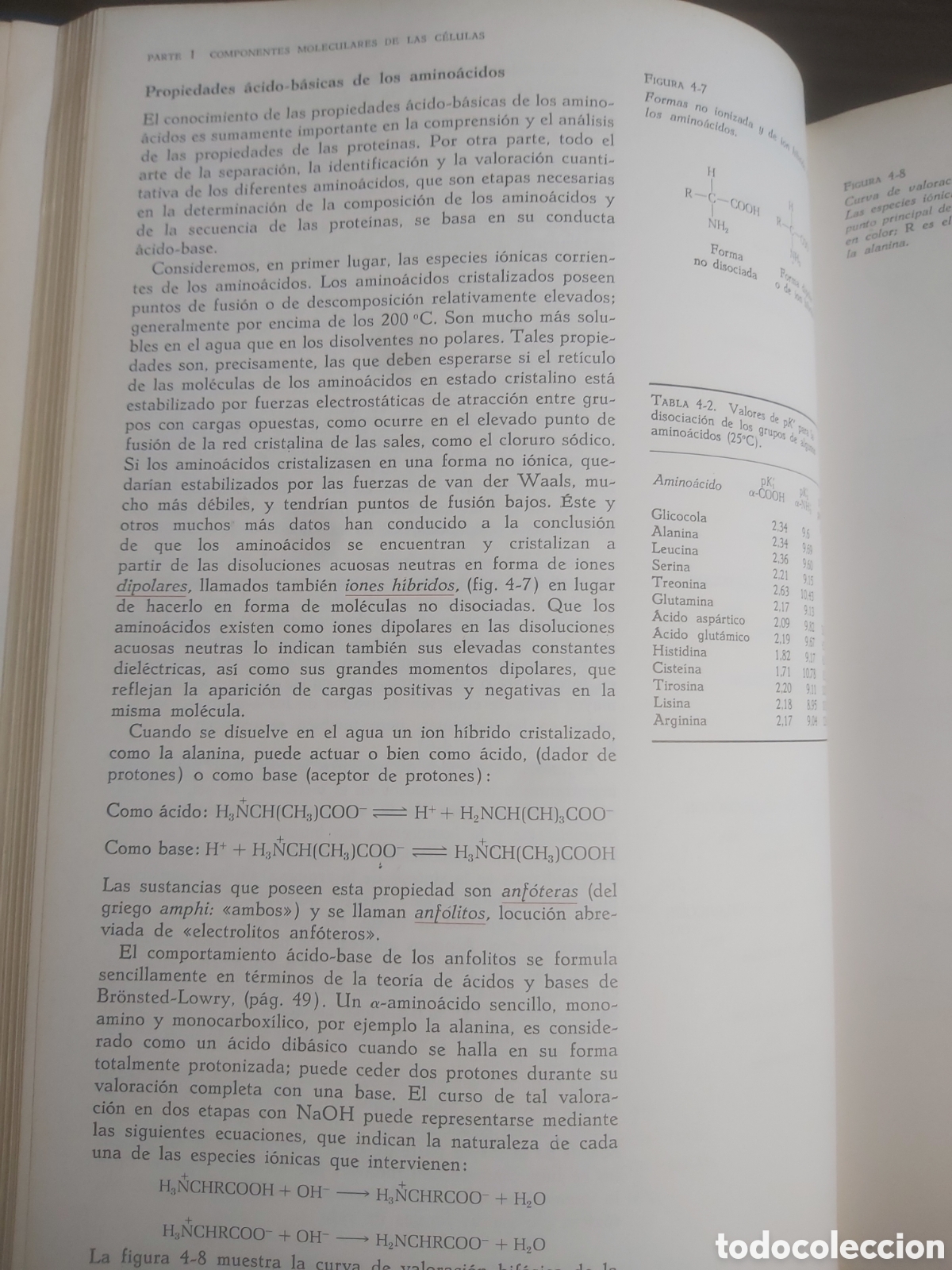 Libros de segunda mano: BIOQUIMICA. Lehninger - Foto 7