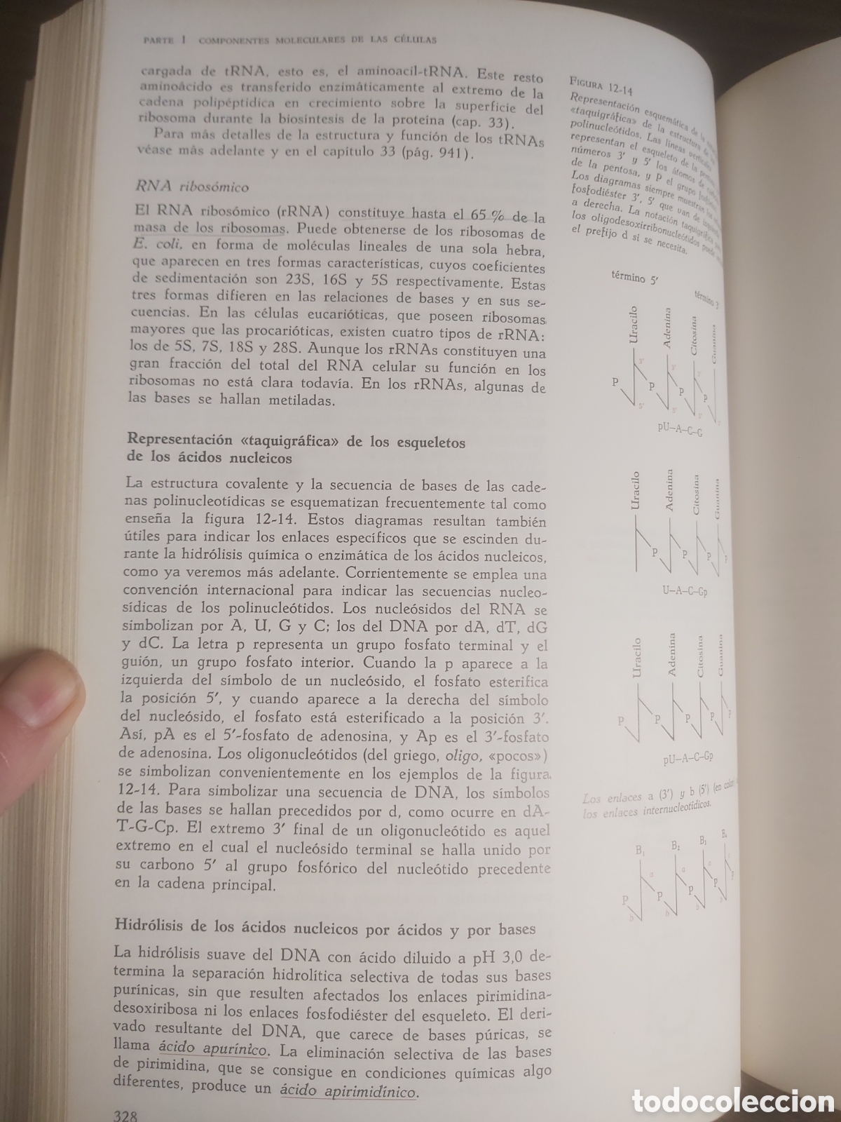 Libros de segunda mano: BIOQUIMICA. Lehninger - Foto 8