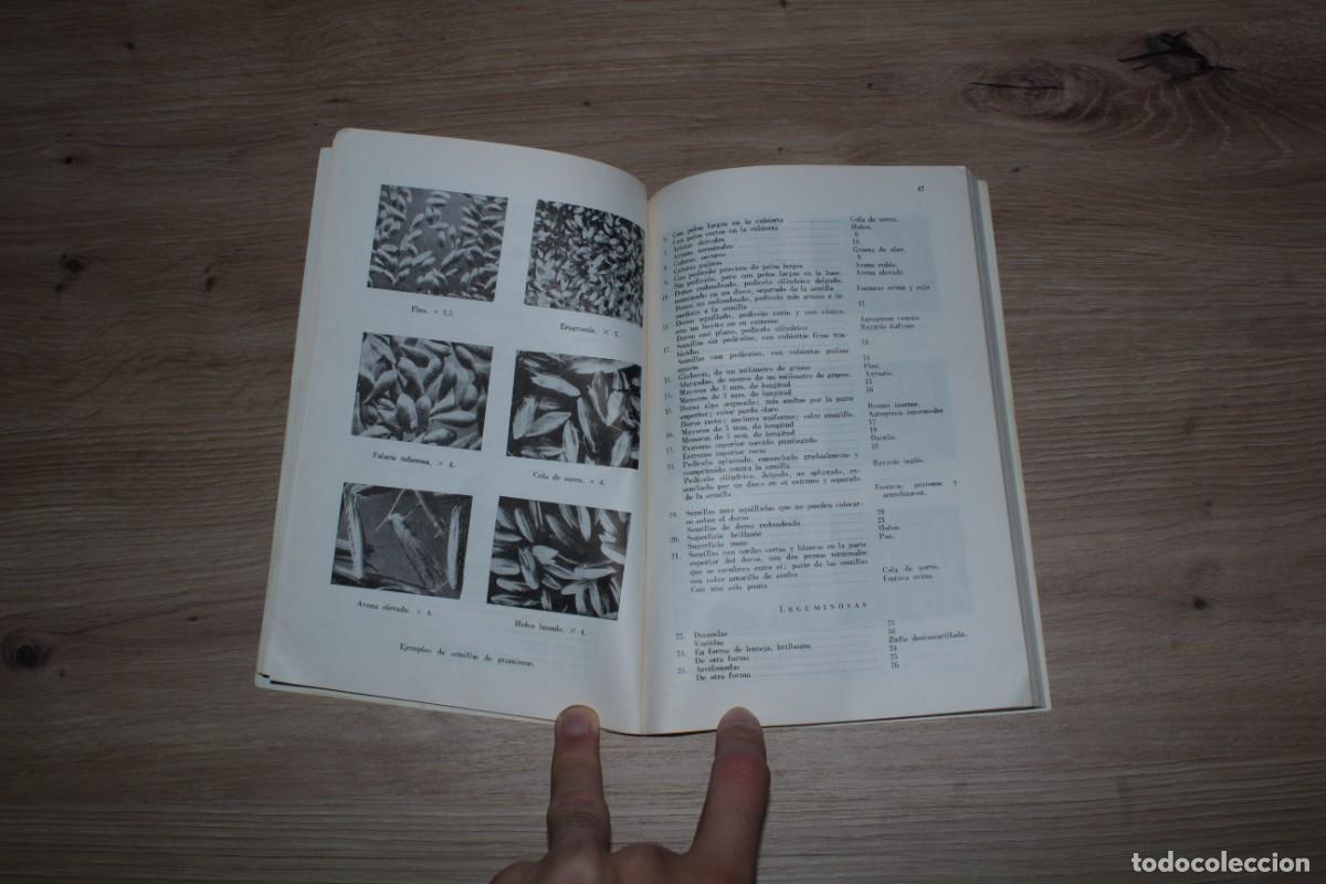 Libros de segunda mano: Diez temas sobre los prados - Foto 4