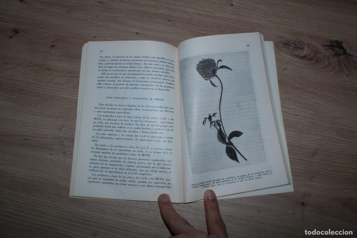 Libros de segunda mano: Diez temas sobre los prados - Foto 5