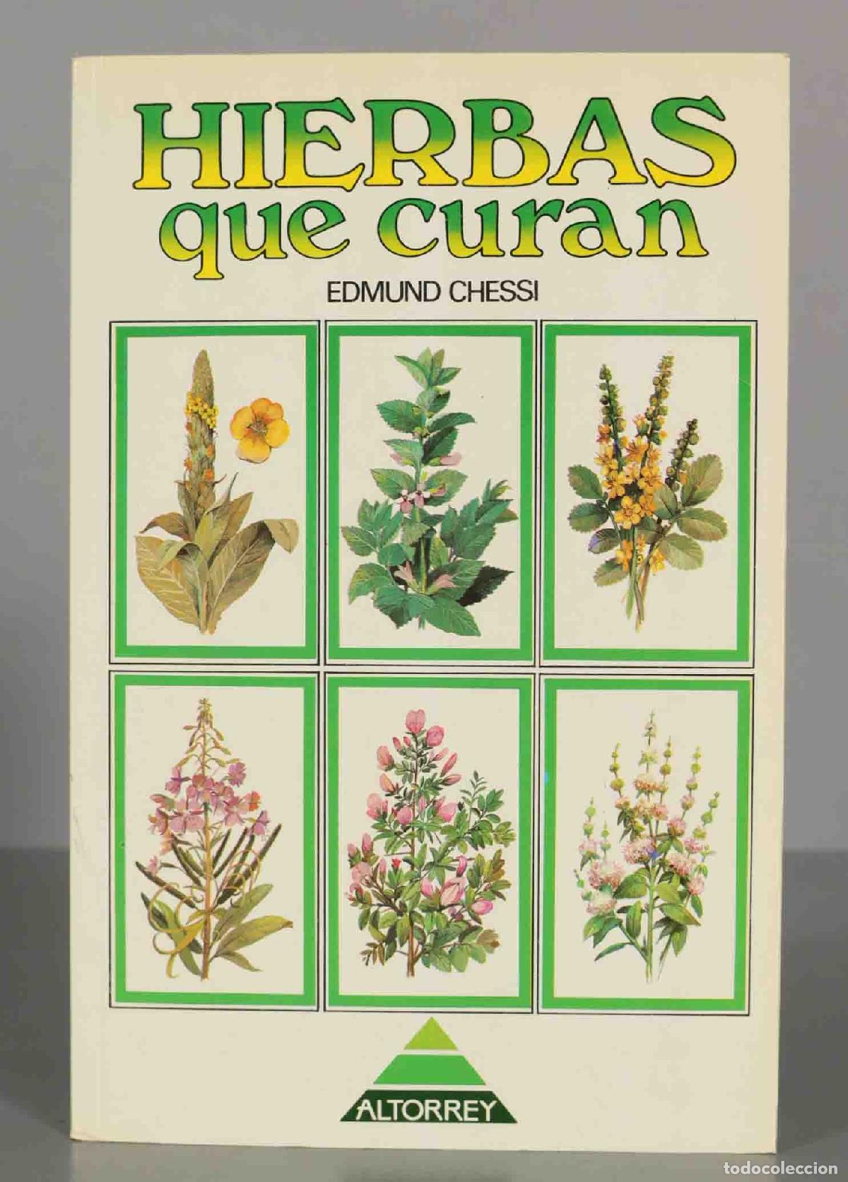 Libros de segunda mano: HIERBAS QUE CURAN. CHESSI, Edmund. - Foto 1