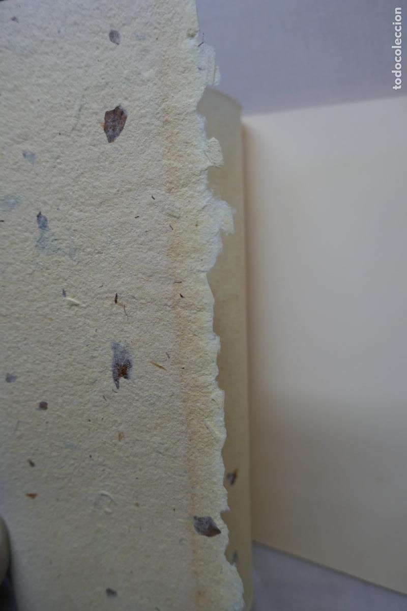 Libros de segunda mano: THE INTERNATIONAL NUT COUNCIL - (EN INGL&Eacute;S) - Foto 6