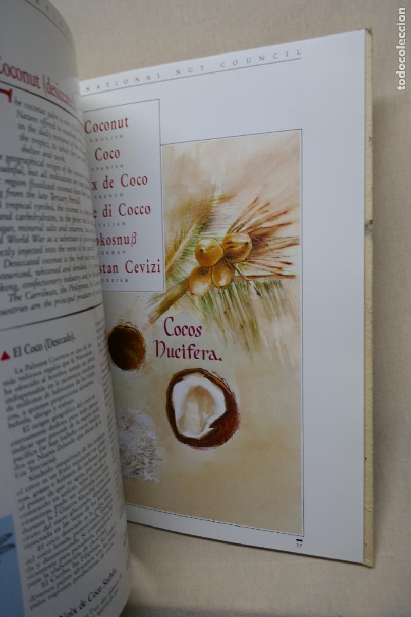 Libros de segunda mano: THE INTERNATIONAL NUT COUNCIL - (EN INGL&Eacute;S) - Foto 12