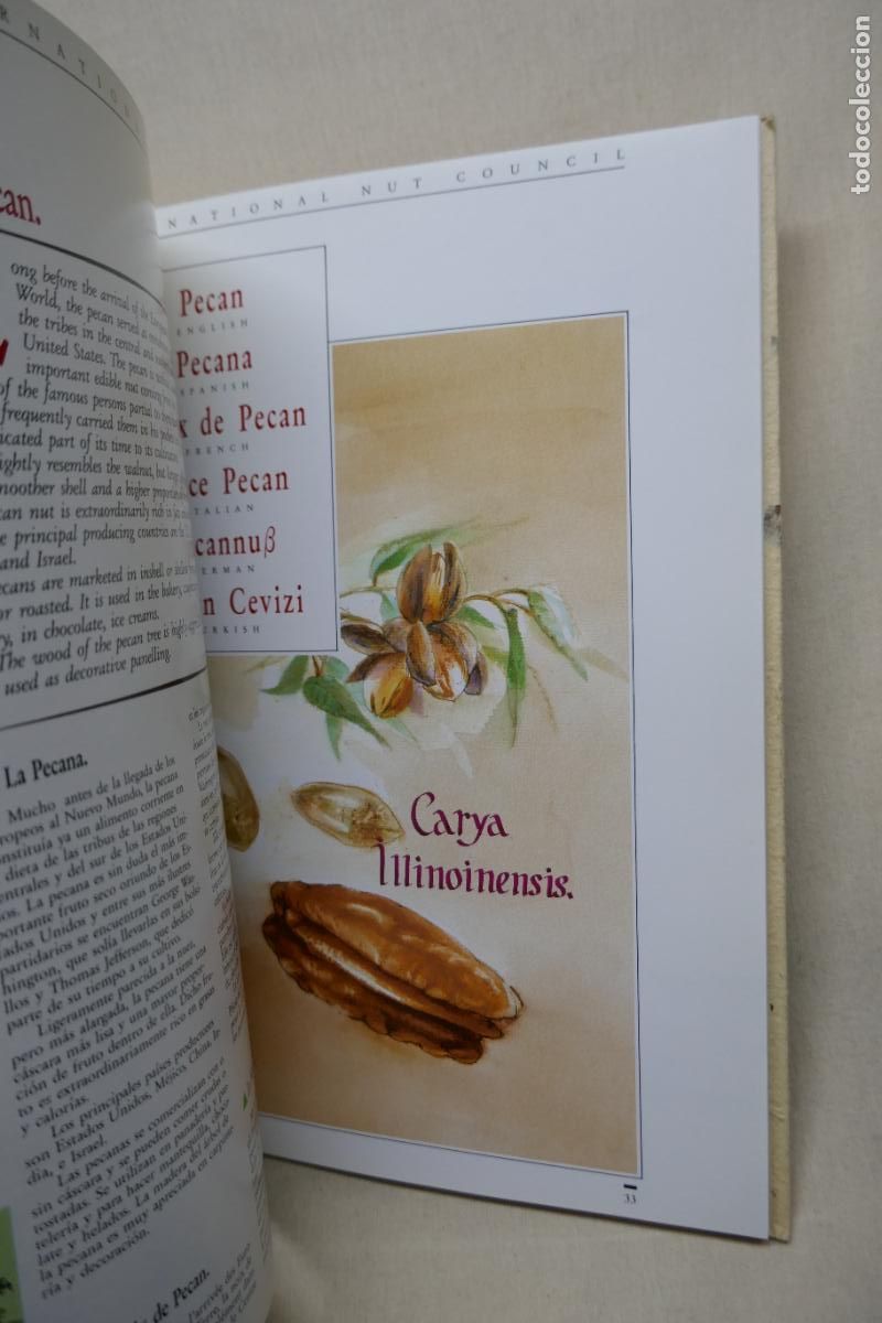 Libros de segunda mano: THE INTERNATIONAL NUT COUNCIL - (EN INGL&Eacute;S) - Foto 13