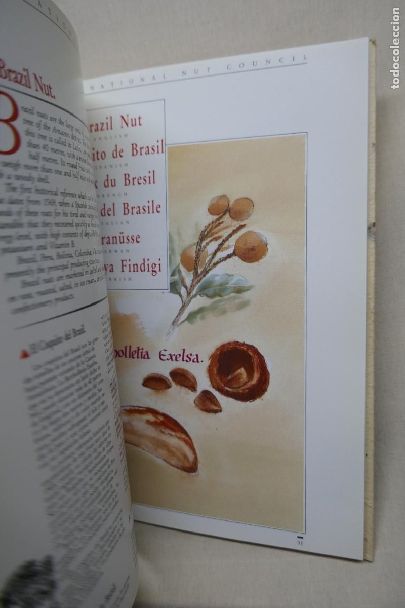Libros de segunda mano: THE INTERNATIONAL NUT COUNCIL - (EN INGL&Eacute;S) - Foto 14