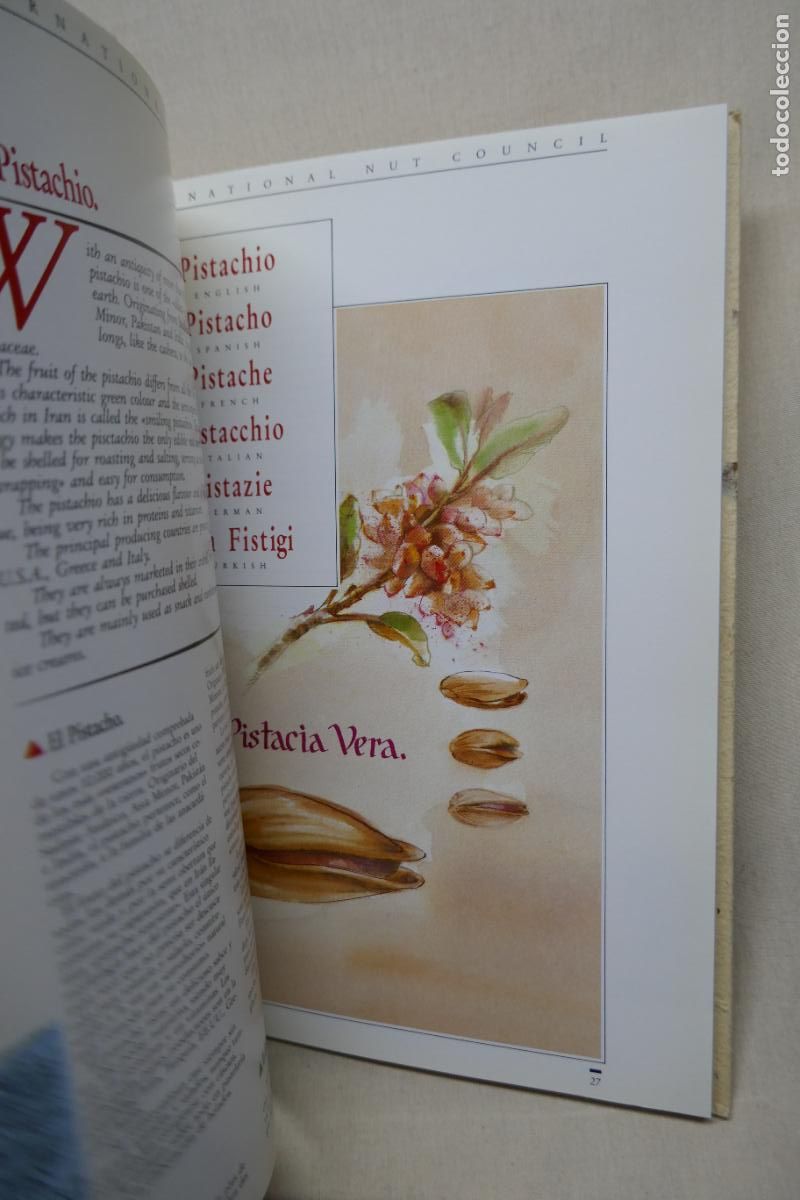 Libros de segunda mano: THE INTERNATIONAL NUT COUNCIL - (EN INGL&Eacute;S) - Foto 15
