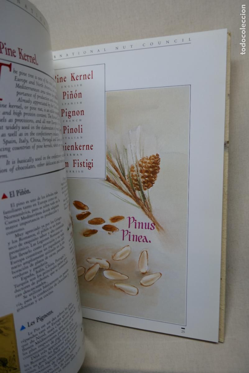 Libros de segunda mano: THE INTERNATIONAL NUT COUNCIL - (EN INGL&Eacute;S) - Foto 16