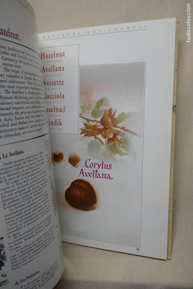 Libros de segunda mano: THE INTERNATIONAL NUT COUNCIL - (EN INGL&Eacute;S) - Foto 18