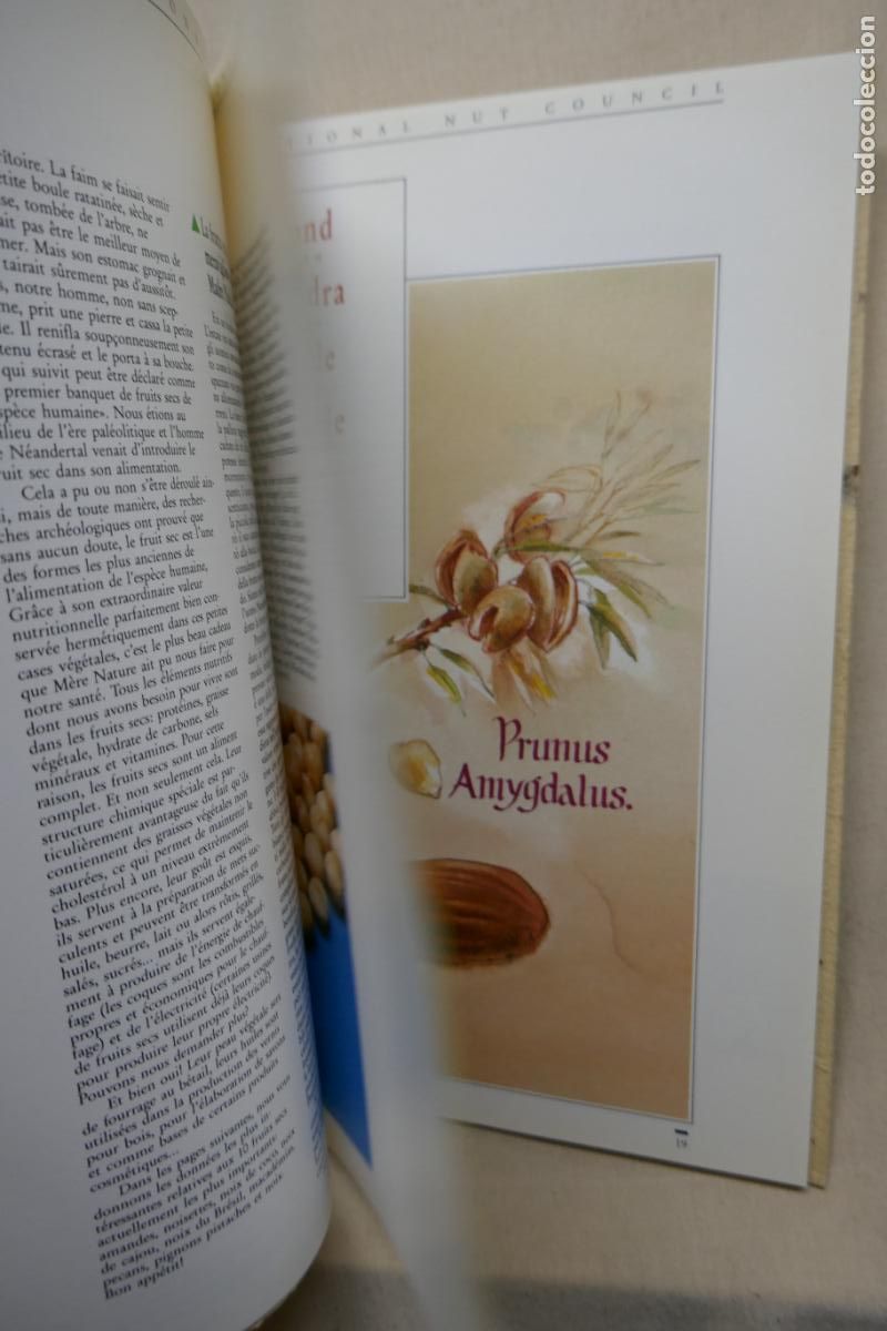 Libros de segunda mano: THE INTERNATIONAL NUT COUNCIL - (EN INGL&Eacute;S) - Foto 19