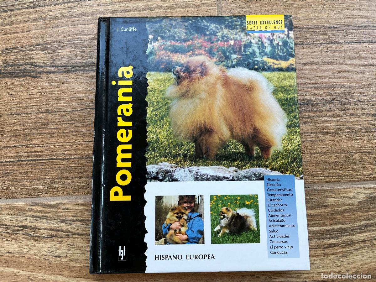 Libros de segunda mano: POMERANIA - SERIE RAZAS DE HOY - EXCELLENCE - Foto 1