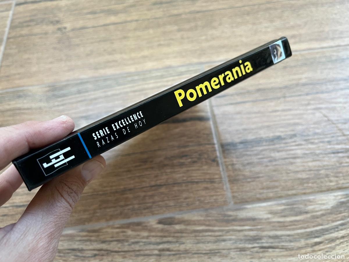 Libros de segunda mano: POMERANIA - SERIE RAZAS DE HOY - EXCELLENCE - Foto 2